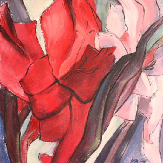 „Gladiolen rot rosa (1)"