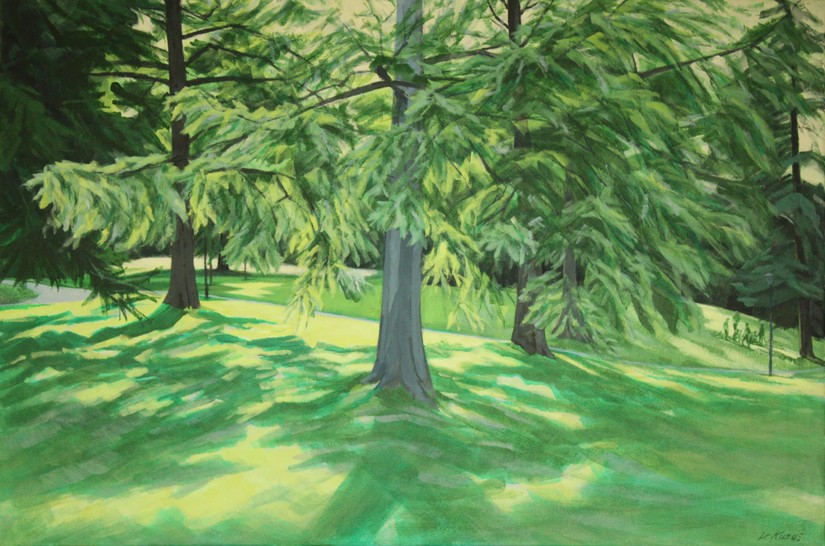 „Detmold - Palaisgarten Sommerbaum"